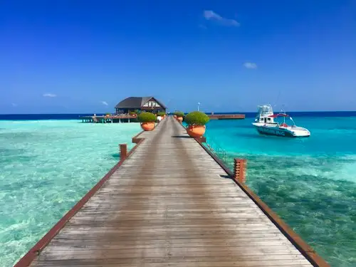 Honeymoon Trip